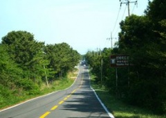 Con đường kỳ bí