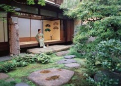 Vườn trà Nhật Bản