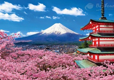 Núi Phú Sĩ – biểu tượng linh thiêng đẹp “không góc chết” của Nhật Bản