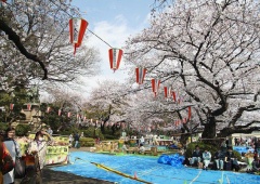 Công viên Ueno – điểm đến lý tưởng mùa hoa anh đào Nhật Bản