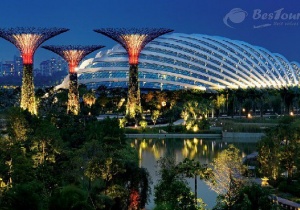 Siêu cây khổng lồ tại khu vườn nhân tạo Gardens by the Bay Singapore