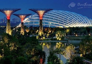 Siêu cây khổng lồ tại khu vườn nhân tạo Gardens by the Bay Singapore