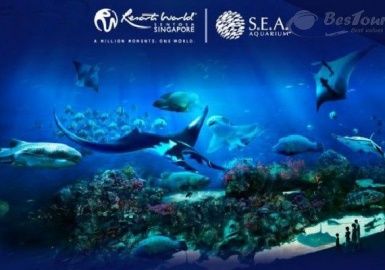 Khám phá thủy cung lớn nhất thế giới S.E.A. Aquarium