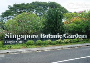 Thế giới thực vật thu nhỏ tại Vườn bách thảo Singapore Botanic Gardens