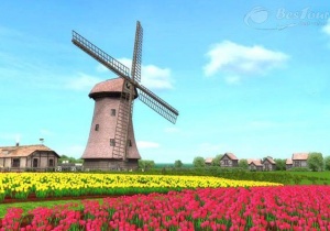 Tìm về bình yên với làng quê Zaanse schan Hà Lan