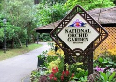 Vườn bách thảo