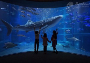 Có gì trong đại dương thu nhỏ - Viện Hải Dương học Nha Trang