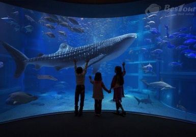 Có gì trong đại dương thu nhỏ - Viện Hải Dương học Nha Trang