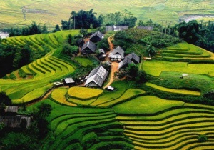 Ruộng bậc thang Sa Pa - nổi bật vùng Tây Bắc hùng vĩ