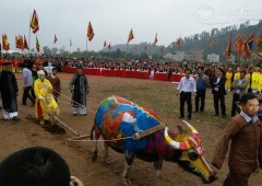 Hòa cùng không khí sôi động của lễ hội Tịch Điền Huế