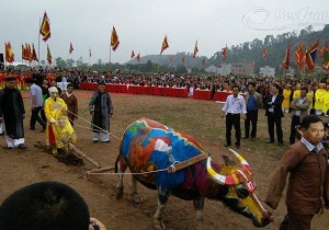 Hòa cùng không khí sôi động của lễ hội Tịch Điền Huế