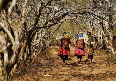 Bản Tả Phìn - Sa Pa