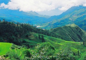 Thung lũng Mường Hoa - nét hoang sơ thanh bình