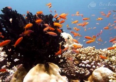 Địa điểm du lịch nhất định phải đến khi tới Maldives