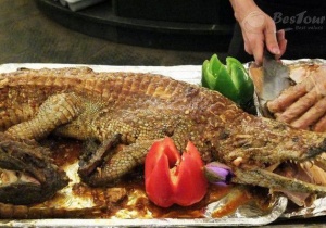 Du lịch Úc thưởng thức món cá sấu nướng 