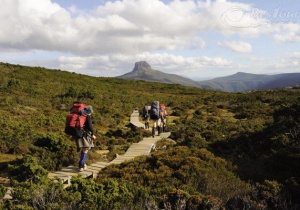 Overland Track - con đường mòn đầy ao ước cho dân Treckking