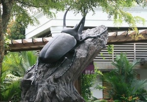 Vương quốc côn trùng của Singapore và những điều bất ngờ ấn tượng