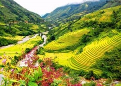 Thung lũng Mường Hoa