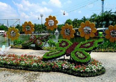 Vườn bướm Saithip Gardens- nét độc đáo du lịch Thái Lan