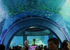 Viện Hải Dương học