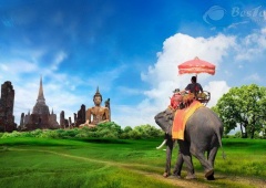 Làng voi Pattaya - khu bảo tồn nổi tiếng Thái Lan