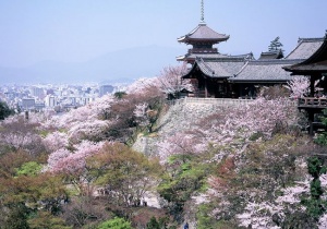 Những địa điểm du lịch Kyoto tuyệt đẹp