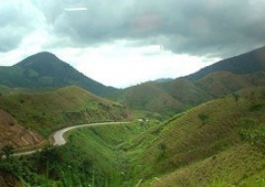 Núi Phượng Hoàng