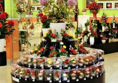 Showroom hoa nghệ thuật