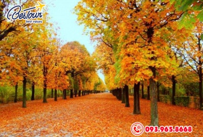 Tour  Du Lịch Hàn Quốc 5 Ngày 4 Đêm