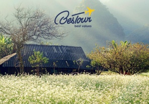 Bestour giới thiệu sản phẩm mới - Combo Du lịch Mộc Châu - Siêu Ưu Đãi 