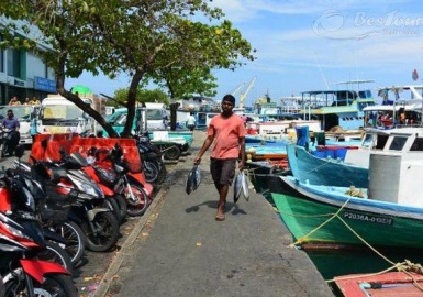 Khám phá chợ cá Male của Maldives