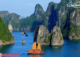 Tour Du Lịch Hạ Long 2 Ngày 1 Đêm 2020