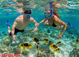 Tour Du Lịch Đà Nẵng Cù Lao Chàm 4 Ngày 3 Đêm 