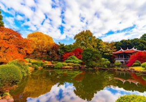  Mùa Lá Đỏ Nhật Bản: Thời Gian và Những Điểm Ngắm Nổi Tiếng