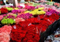 Chợ hoa Pak Khlong Talat
