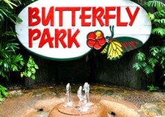 Vườn Bướm (Vườn Saithip)