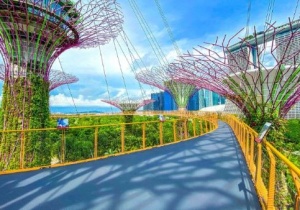 Gardens By The Bay - Khu vườn độc đáo nhất Singapore