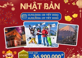 Tour Du lịch Nhật Bản Tết Bính Ngọ 2026 (28,29 Tết) bay Vietjet Air