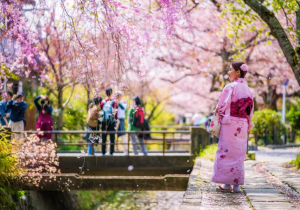 Đi Nhật mùa nào đẹp nhất?
