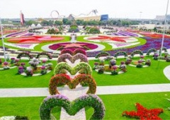 Vườn hoa Miracle Garden